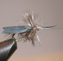 ���� ����� Dry fly  